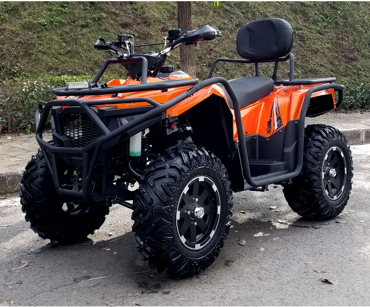 1704337537445009.jpg 1704337537445009.jpg